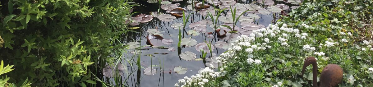 Jardinier-Paysagiste LEMMER